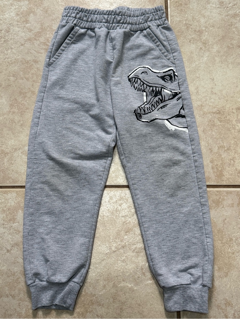 Kids' Gray Dino Graphic Joggers with Elastic Waist